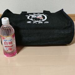 【未使用品】豊天商店はろうきてぃデニムバッグの画像