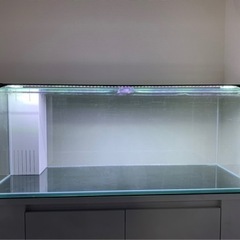 トレファク ラパーク岸和田店】OPPO サインアウト確認済み 【30日間