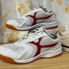 美品　体育館シューズ(レディース)23cm 箱無しの画像