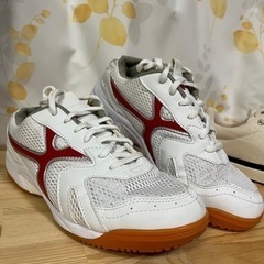 美品　体育館シューズ(レディース)23cm 箱無し