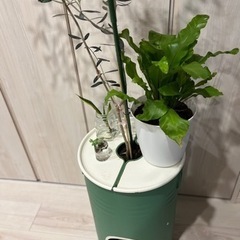 ペール缶プランター　手作り一点物になります。の画像