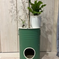 ペール缶プランター　手作り一点物になります。の画像