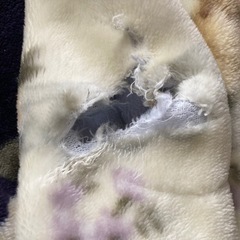 毛布の画像