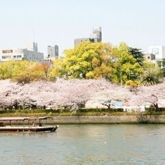 【4/5(土)＆4/6(日)】お花見します🌸 100名超えました...
