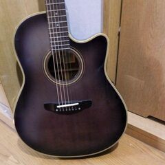 モーリス エレアコ アコースティックギター Rumbler by...