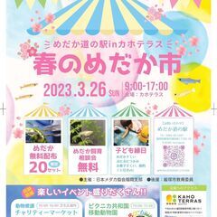春のめだか市