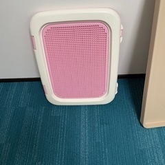 小型犬用トイレトレー