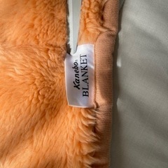 Kanebo ぬくぬく敷パット ダブル・ホットカーペット 2個セットの画像