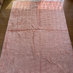 Kanebo ぬくぬく敷パット ダブル・ホットカーペット 2個セットの画像