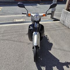 リトルカブ