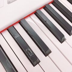 キーボード　ALESIS　LESCITAL　ホワイトの画像