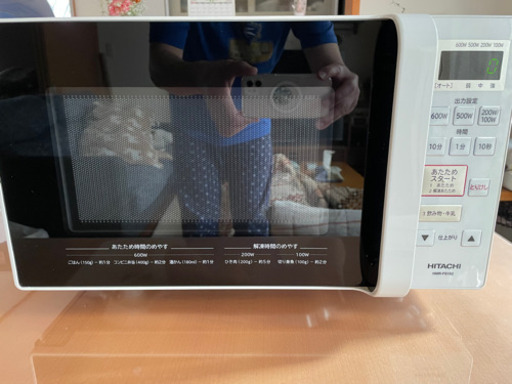 譲渡先決まりました。