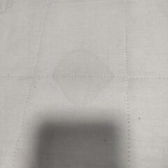 無印良品 カーペット(4月処分予定)の画像