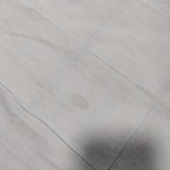 無印良品 カーペット(4月処分予定)の画像