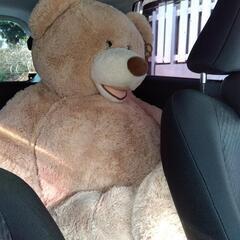 ※再投稿※くま🐻🤣の画像