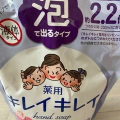 泡で出るキレイキレイ　詰替用の画像