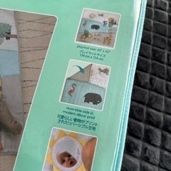 【新品未使用】エイデンアンドアネイ　プレイマットの画像