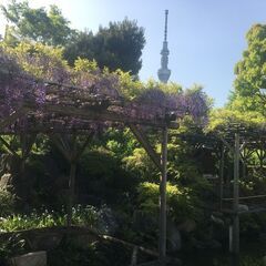 🔴🟠シフト自由のアルバイト🟡🟢全額日払い手渡しor週払い銀行振込み🔵🟣