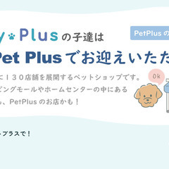 ベビーちゃんを愛情たっぷりに育てているブリーダー様のことを、もっ...