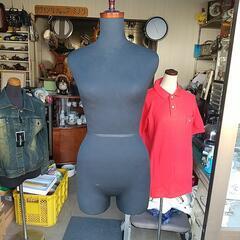 トルソー 差し上げます