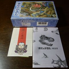 進化のかるた　奥野かるた店　知育玩具