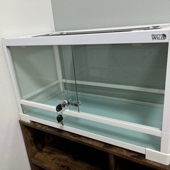 レプタイルボックス その他の中古が安い！激安で譲ります・無料