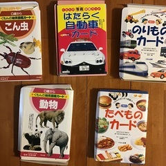 フラッシュカード多数の画像
