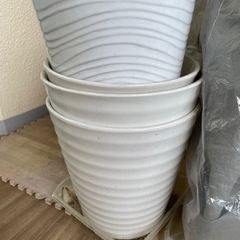 【無料】植木鉢差し上げます