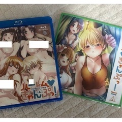 ハーレムきゃんぷ　Blu-ray