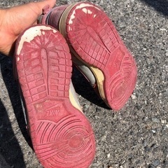 ダンクSBの画像