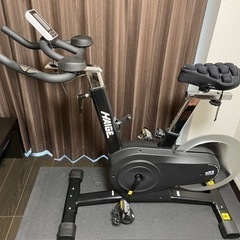 HAIGE HG-EX-5000  静音 スピンバイクHG-EX...