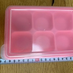 受け渡し決定小分けタッパー