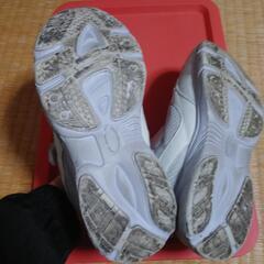 【商談中】22.0cmシューズの画像