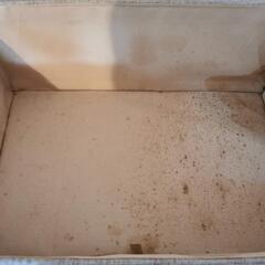 (お取引き中)(無料)衣装ケースの画像