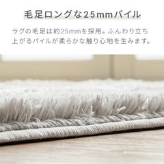 ラグの画像