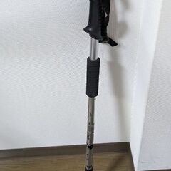 トレッキングポール