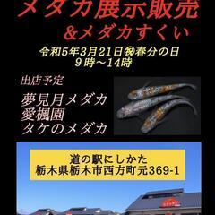 今日も有り難うございました😆　　　　3月21日(火)㊗️　メダカ...