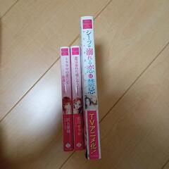 TL小説3冊セット エタニティの画像