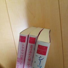 TL小説3冊セット エタニティの画像