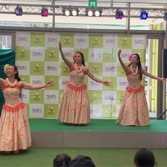 フラダンスメンバー募集の画像