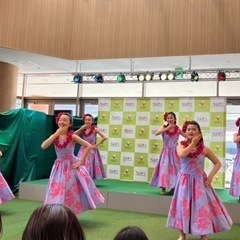フラダンスメンバー募集