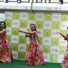 フラダンスメンバー募集の画像