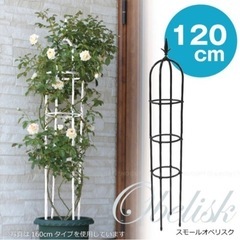 組み立てオベリスク⭐️ホワイト⭐️120、160cm２組
