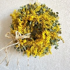 ミモザ　花の画像