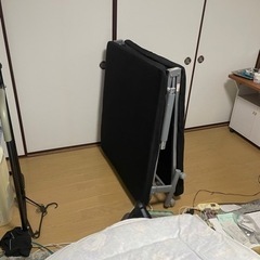 本日(3月21日)処分します