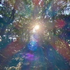 自分の「使命」に気付くお手伝いをしています🌈☪✨