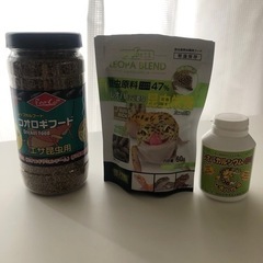 爬虫類　エサ　
