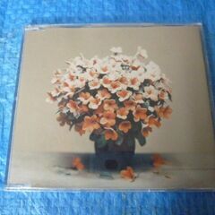 音楽ＣＤ　森山直太朗　風花　中古