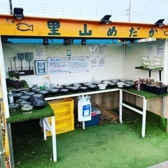 里山公園前　里山めだか　無人販売所3/21出店