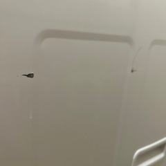 2016年製シャープ洗濯機の画像
